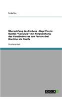 Überprüfung des Fortuna - Begriffes in Dantes 