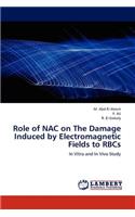 Role of Nac on the Damage Induced by Electromagnetic Fields to Rbcs