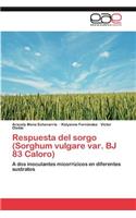 Respuesta del sorgo (Sorghum vulgare var. BJ 83 Caloro)