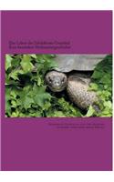 Das Leben Der SchildkrÃ¶te CristÃ³bal