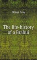 life-history of a Brahui
