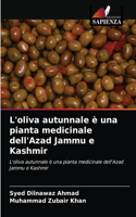 L'oliva autunnale è una pianta medicinale dell'Azad Jammu e Kashmir