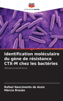 Identification moléculaire du gène de résistance CTX-M chez les bactéries