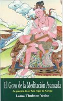 El gozo de la meditacion avanzada, la practica de los seis yogas de naropa