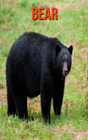 Bear: Incredible Pictures and Fun Facts about Bear