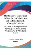 Marital Power Exemplified In Mrs. Packard's Trial And Self-Defense From The Charge Of Insanity