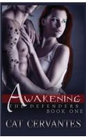The Defenders: Awakening