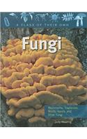 Fungi: Mushrooms, Toadstools, Molds, Yeasts, and Other Fungi