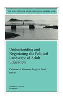 Understanding and Negotiating the Political Landscape of Adult Education