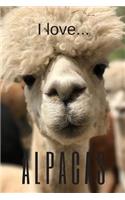 I Love Alpacas