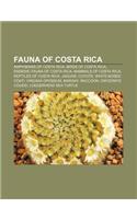 Fauna of Costa Rica: Amphibians of Costa Rica, Birds of Costa Rica, Endemic Fauna of Costa Rica, Mammals of Costa Rica, Reptiles of Costa R