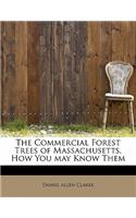 The Commercial Forest Trees of Massachusetts, How You May Know Them