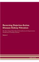 Reversing Dejerine-Sottas Disease: Kidney Filtration The Raw Vegan Plant-Based Detoxification & Regeneration Workbook for Healing Patients. Volume 5