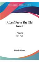 Leaf From The Old Forest