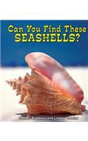 Can You Find These Seashells?