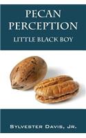 Pecan Perception
