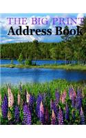 The Big Print Address Book: A Large Print Book