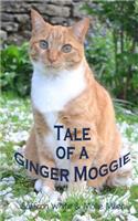 Tale of a Ginger Moggie