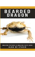 Bearded Dragon