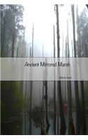 Ancient Mirrored Marsh
