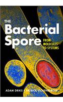 Bacterial Spore
