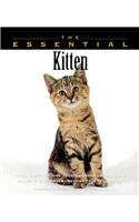 The Essential Kitten