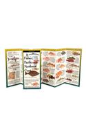 Fishes of the Pacific Northwest Coast
