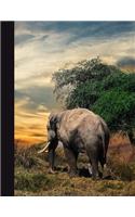 Daily Diary: Blank 2020 Journal Entry Writing Paper for Each Day of the Year - Wild Safari Elephant - January 20 - December 20 - 366 Dated Pages - A Notebook to 