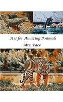 A is for Amazing Animals