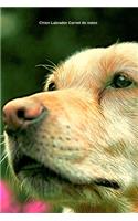 Chien Labrador Carnet de notes