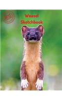 Weasel Sketchbook