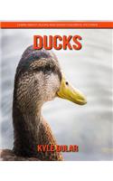 Ducks! Learn about Ducks and Enjoy Colorful Pictures