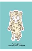 Practice Sheets Owl Penmanship Workbook