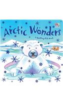 Arctic Wonders