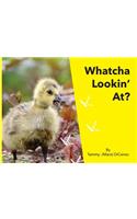 Whatcha Lookin' At?