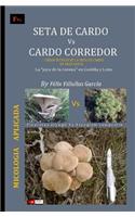 Seta de Cardo Vs Cardo Corredor