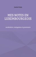 Mes notes en luxembourgeois: vocabulaire, conjugaison et grammaire