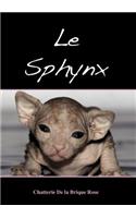 sphynx