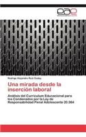 Una Mirada Desde La Insercion Laboral