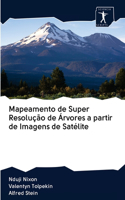 Mapeamento de Super Resolução de Árvores a partir de Imagens de Satélite