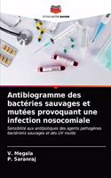 Antibiogramme des bactéries sauvages et mutées provoquant une infection nosocomiale