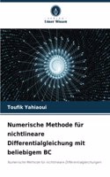 Numerische Methode für nichtlineare Differentialgleichung mit beliebigem BC