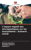 L'impact négatif des microplastiques sur les écosystèmes