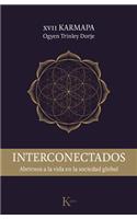 Interconectados
