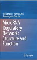 Microrna Regulatory Network: Structure and Function