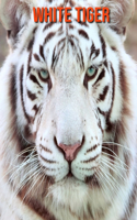 White Tiger: Beautiful Pictures & Interesting Facts Children Book About White Tiger