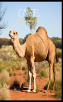 Camel Wall Calendar 2021: Great gifts ideas for teacher and for special holidays ( Christmas, Halloween and Thanksgiving Hanukkah Day) birthdays party