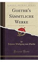 Goethe's Sï¿½mmtliche Werke, Vol. 24 of 40 (Classic Reprint)
