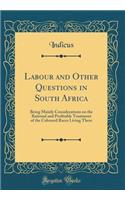 Labour and Other Questions in South Africa: Being Mainly Considerations on the Rational and Profitable Treatment of the Coloured Races Living There (Classic Reprint)