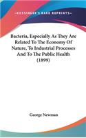 Bacteria, Especially As They Are Related To The Economy Of Nature, To Industrial Processes And To The Public Health (1899)